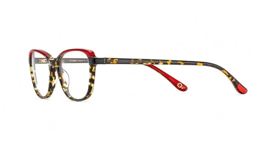Etnia Barcelona NOTRE DAME P. Eyeglasses - view 15